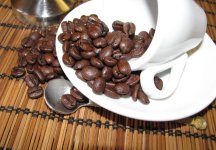 Bányai Csokis Kuglóf szemes kávé teszt kávébabok
