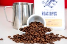 Roastopus La Sierrita Kolumbia szemeskávé teszt kávébabok